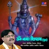 About Om Namhshivay Dhun Song